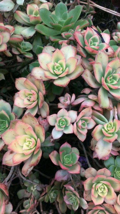 Anyone else see a makeup palette here?